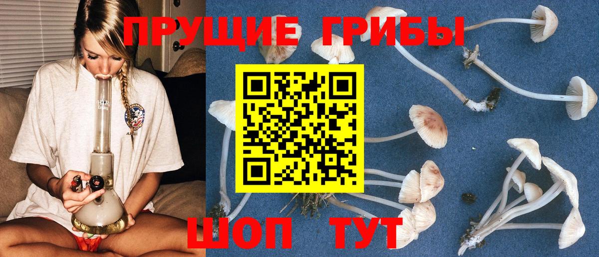 продажа наркотиков  Галлюциногенные грибы Psilocybine cubensis  Вход с VPN  Воскресенск 